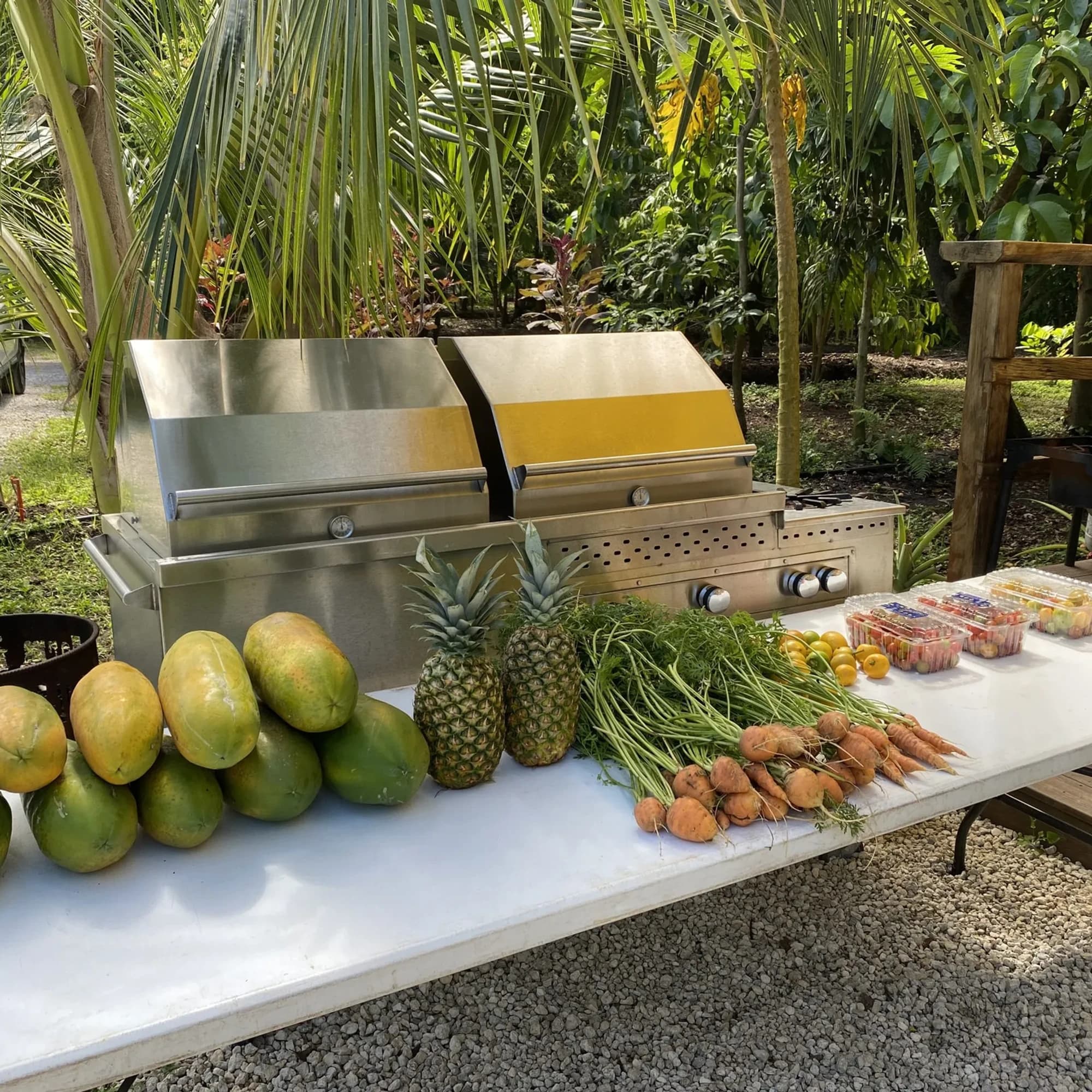 Fresh organic produce from Lion Farms