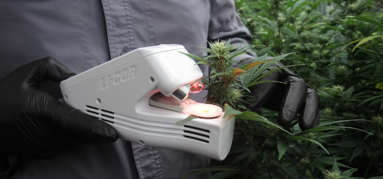 Pruning Techniques Research