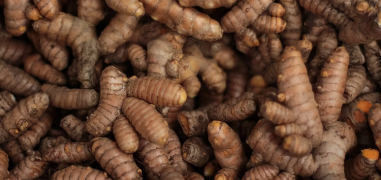 Turmeric and Basil Research